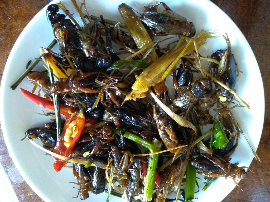 Жареные кузнечики — кхмерский деликатес