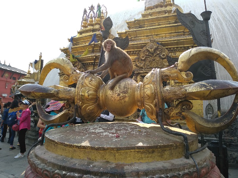 Третий день путешествия по Непалу: удар в лоб, странный «монах» и бабка с кукишем