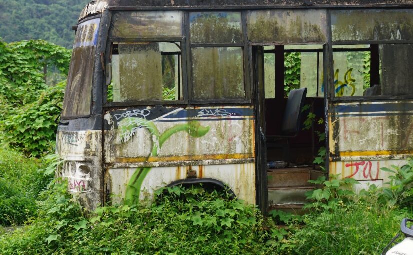 На автобусах — по Гоа, прибежище для романтиков и сказка — в сказке