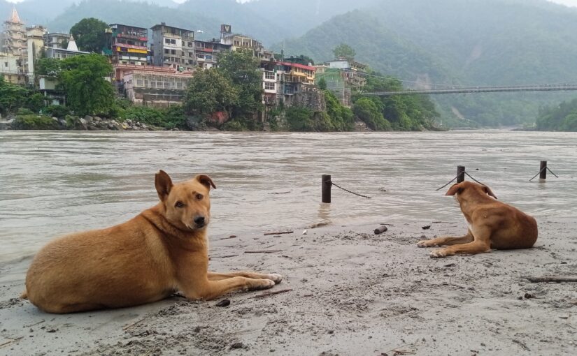 «Где бы я ни был — я дома…» Большая вода